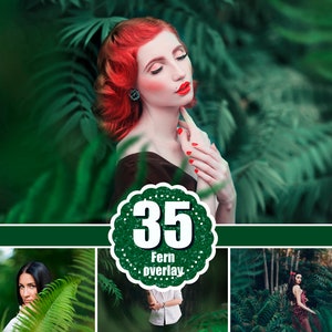 35 Fern Photo Overlays, shooting through branches, tree, green, forest, spring, summer Photoshop Mix, Photoshop Overlays, png