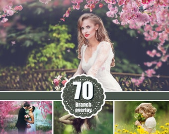 70 tree branch flower Photo Overlays, Photoshop Mix overlay, Summer spring painted overlays, digital  Backdrop, Photo art, png file