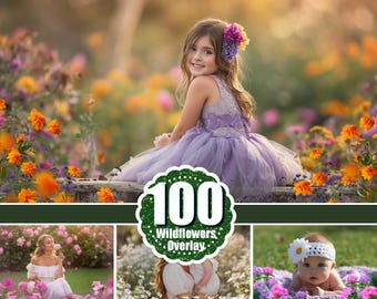 100 Flowers photo overlay, Photoshop overlays, flowering field, Wildflowers, Summer spring flower, art frame, Floral Photo, Garden, png