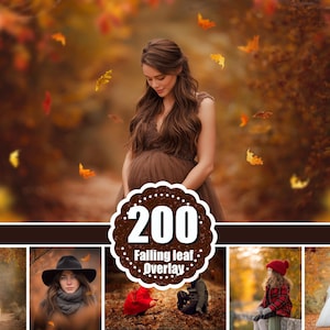 200 höstlövöverlägg, höstlöv png clipart, Photoshop-överlägg, realistisk fotoeffekt med fallande löv, digital bakgrund, icke-AI