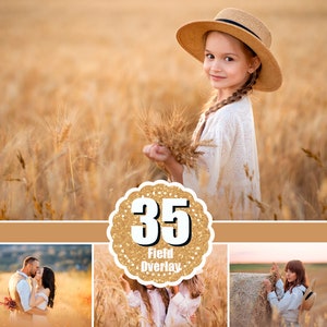 35 Golden fields overlay, Field overlay, Flower summer spring overlay, Digital backdrop, Golden light, Art frame, Wheat cornfield png