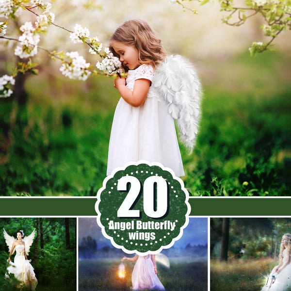 Angel butterfly Wings Photo Overlays, Photoshop Mix Overlay, Photography Photo Prop, magic fairy fantasy wight wing, png file