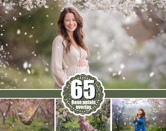 65 Falling pink white petal overlay, Photoshop overlays, Fine art portrait, Spring romantic magic, Cherry petals, apple blossom, png