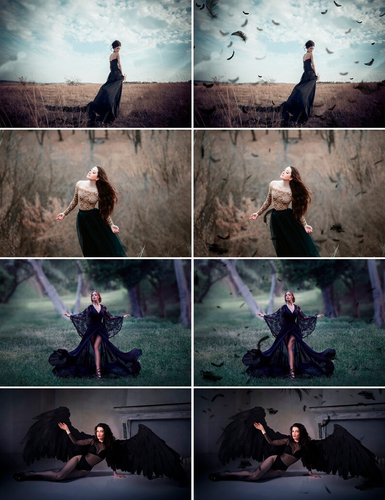 35 Black Feather Overlays Overlays Angel Feather Etsy Australia