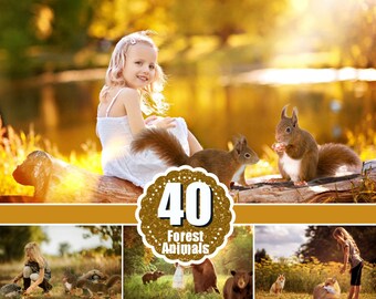40 different forest wild animals photo overlays squirrel, hedgehog, rabbit, woolf, bear, fox, raccoon, reindeer, photoshop overlay, png