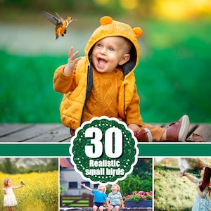 May include: A young child wearing a yellow hooded jacket sits on a wooden surface with a green background. A large green circle with the text "30 Realistic Small Birds" is in the foreground. The image is divided into three sections, with the top section showing the child, the middle section showing the text, and the bottom section showing three smaller images of birds.