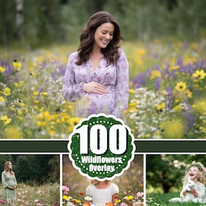 100 Summer wildflower Photoshop overlays. Flowering fields for photo editing. Meadow flower photo overlay. Bundle photo props portrait, png