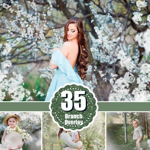 35 Apple tree blossom spring summer white branch overlays, painted photo layer, Blur Photo for Photographers, falling petals, Photoshop png zdjęcie 1
