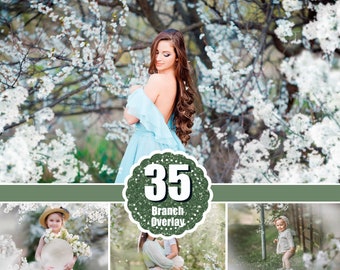 35 incrustations de branches blanches de printemps et d'été en fleurs de pommier, calque photo peint, photo flou pour les photographes, chute de pétales, Photoshop png thumbnail