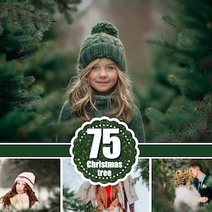 75 クリスマスツリーの枝のオーバーレイ、松の枝のオーバーレイ、冬の休日の写真セッション、クリスマスの背景の冬、オーバーレイ、PNG