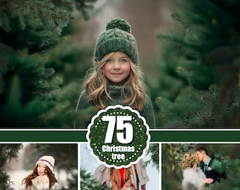 75 Christmas tree branch overlays, Pine branch overlay, winter holiday photo sessia, Сhristmas backdrop background winter, overlay, PNG