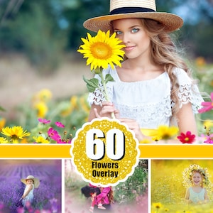 60 Flower grass petals bubbles butterfly Photo Overlays, Photoshop Mix, Photo Overlays, wedding baby overlays, photo editing tool, png