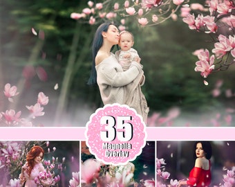 35 Magnolien Frühling Sommer Baum Ast Overlays, Blume pastell gemalte Foto Schicht, Unschärfe Foto für Fotografen, fallende Blütenblätter, png