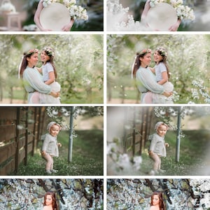 35 Apple tree blossom spring summer white branch overlays, painted photo layer, Blur Photo for Photographers, falling petals, Photoshop png zdjęcie 2