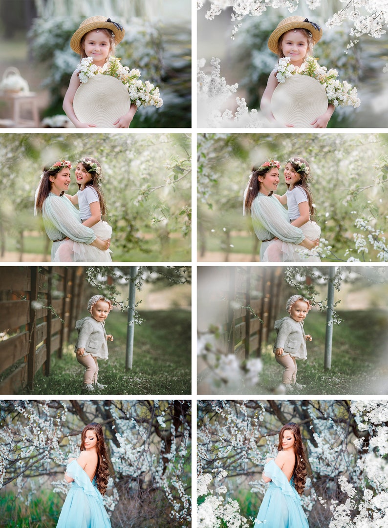 35 Apple tree blossom spring summer white branch overlays, painted photo layer, Blur Photo for Photographers, falling petals, Photoshop png zdjęcie 2