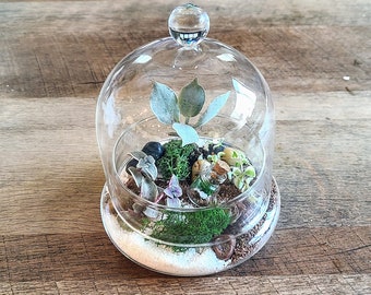 DIY terrarium kit, succulent, moss, terrarium in terrarium, kid friendly, remote team builder