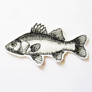 Può includere: Un disegno in bianco e nero di un pesce con pinne e coda. Il pesce è su uno sfondo bianco.