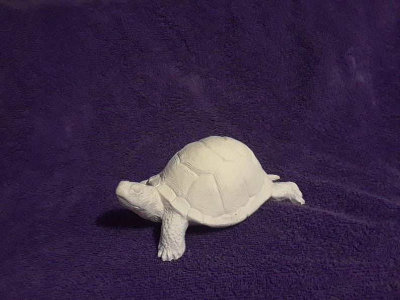 May include: A white ceramic turtle figurine with a detailed shell and legs. The turtle is posed as if it is walking.