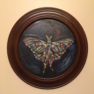 Lunar Moth Original Painting