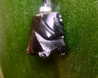 Handcarved natural Obsidian stone frog pendant