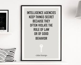 Wikileaks Poster Etsy