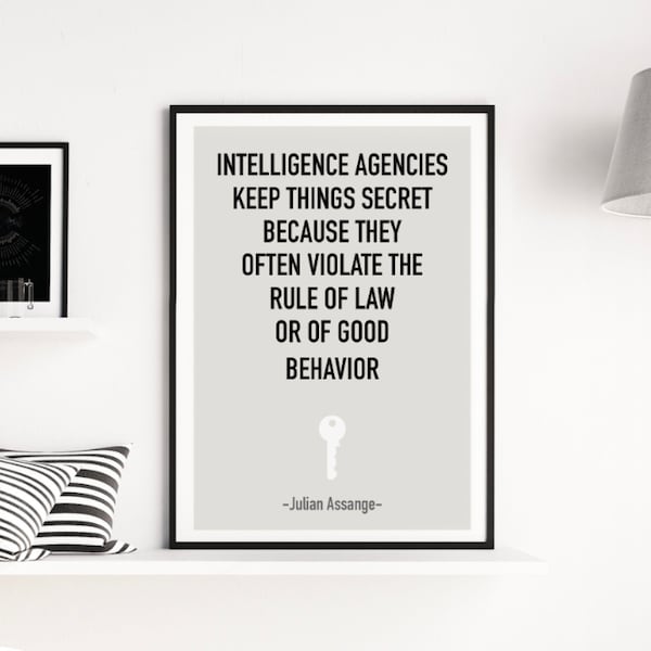 Julian Assange quotes print wikileaks print Assange support hacker quote activist print  Political quotes prints wall decor (169)