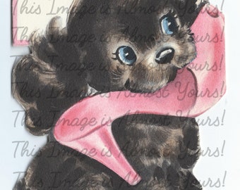 cocker spaniel shoes