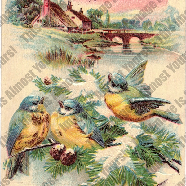 Abby's Antiques 4, Best Wishes, Birds, Postcard, Lovely, Cute, Instant, Digital Download, Ephemera, Vintage, Image Collage, JPG- DD