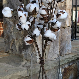 27 inch Rustic Cotton Stems with 15-18 Bolls per Stem for Rustic Farmhouse DecorPreserved BollsFaux CottonCountry ChicMin 3 image 4