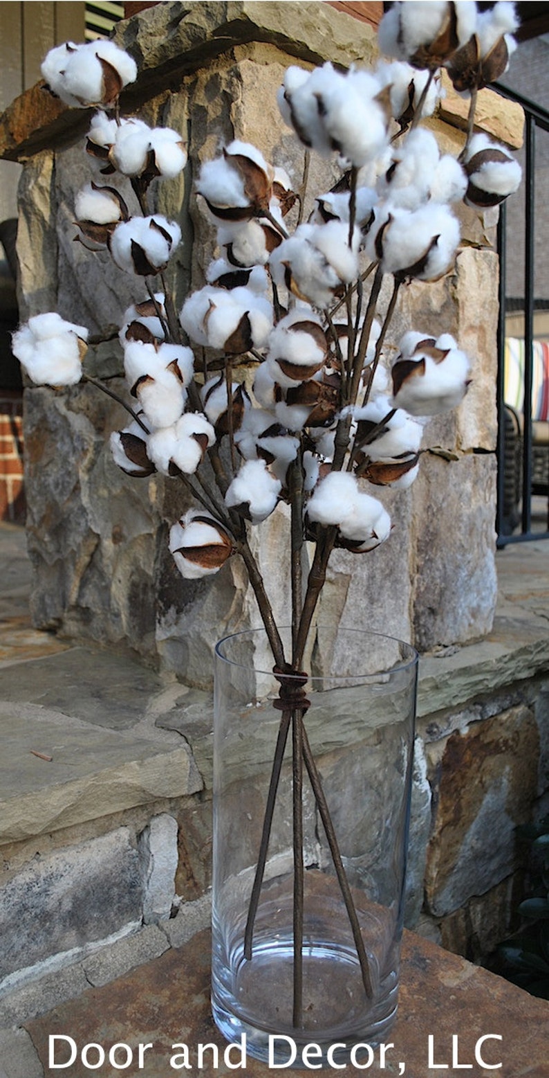 27 inch Rustic Cotton Stems with 15-18 Bolls per Stem for Rustic Farmhouse DecorPreserved BollsFaux CottonCountry ChicMin 3 image 4