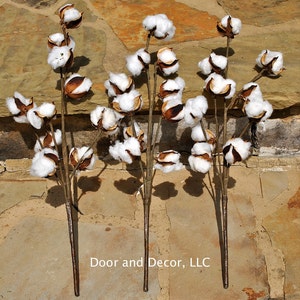 Set of 3; 19" Cotton Stems for Rustic Decor~Farmhouse style~Summer Country Chic~Year round decor