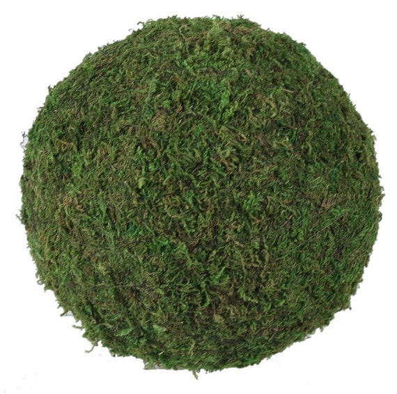 8 Diameter Decorative Round Green Moss Balls-pack of 2 