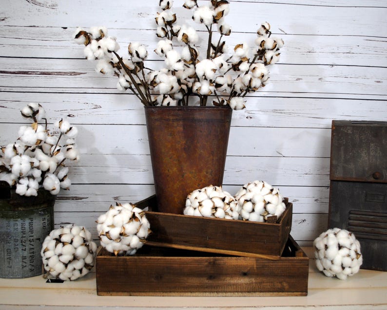 27 inch Rustic Cotton Stems with 15-18 Bolls per Stem for Rustic Farmhouse DecorPreserved BollsFaux CottonCountry ChicMin 3 image 6