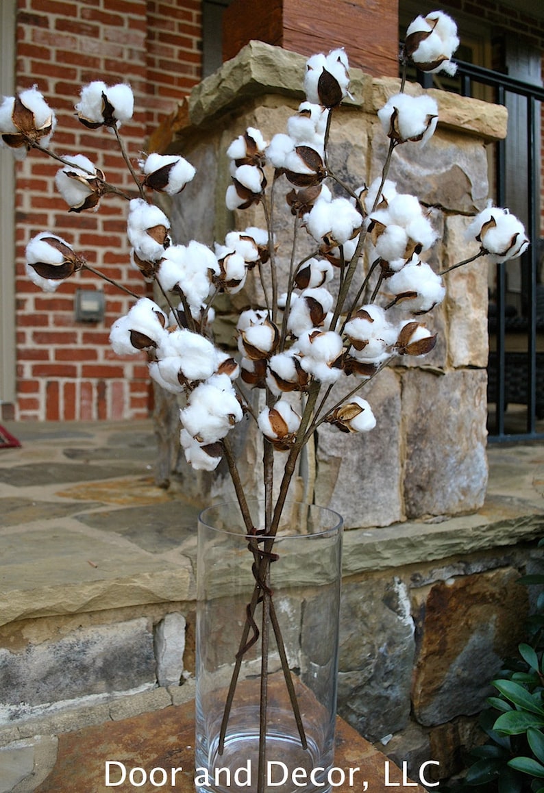 27 inch Rustic Cotton Stems with 15-18 Bolls per Stem for Rustic Farmhouse DecorPreserved BollsFaux CottonCountry ChicMin 3 image 1