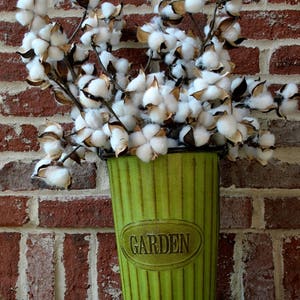 27 inch Rustic Cotton Stems with 15-18 Bolls per Stem for Rustic Farmhouse DecorPreserved BollsFaux CottonCountry ChicMin 3 image 7