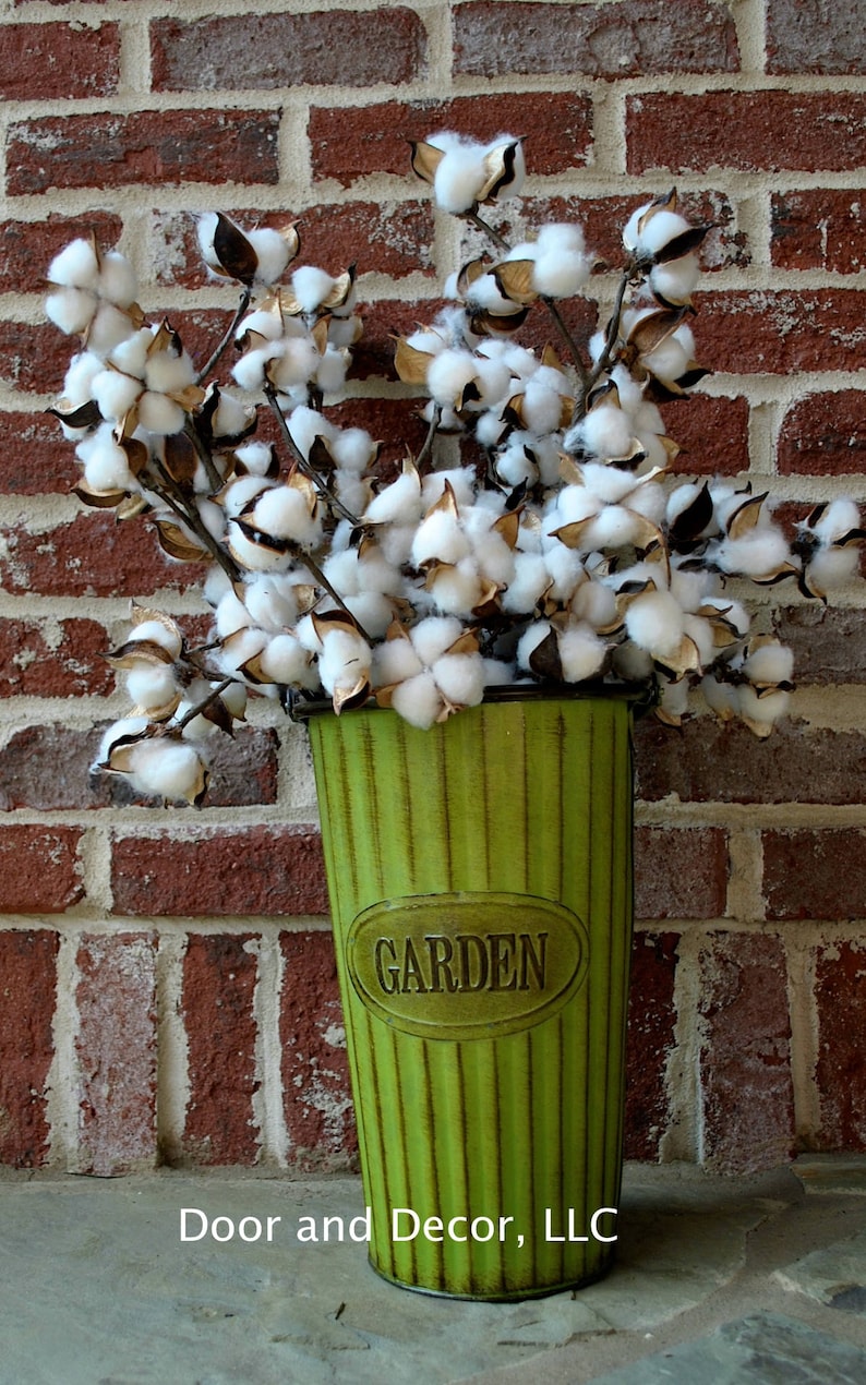 27 inch Rustic Cotton Stems with 15-18 Bolls per Stem for Rustic Farmhouse DecorPreserved BollsFaux CottonCountry ChicMin 3 image 7