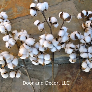 27 inch Rustic Cotton Stems with 15-18 Bolls per Stem for Rustic Farmhouse DecorPreserved BollsFaux CottonCountry ChicMin 3 image 5