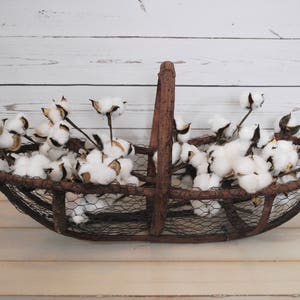 27 inch Rustic Cotton Stems with 15-18 Bolls per Stem for Rustic Farmhouse DecorPreserved BollsFaux CottonCountry ChicMin 3 image 8