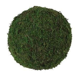 May include: A round green moss ball, perfect for adding a touch of nature to your home decor.
