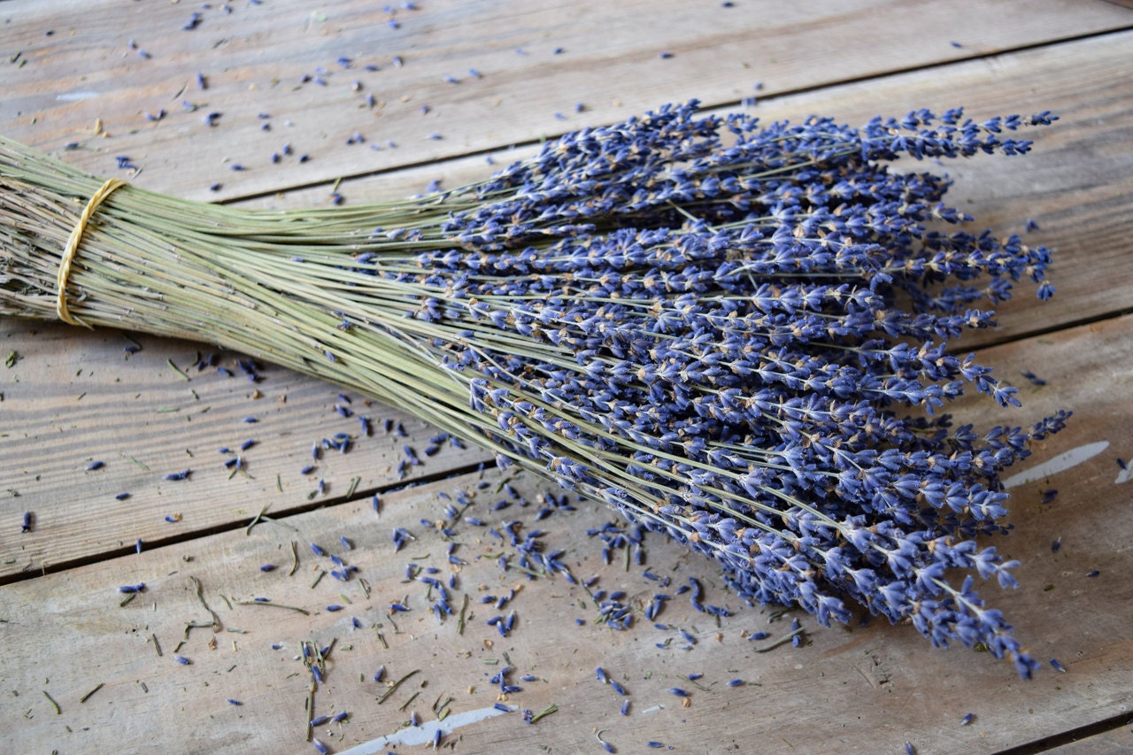 LavenderStems100 stems per Lavender Bundle2018 CropDried Etsy