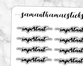 Important Script Lettering with Erin Condren Lifeplanner™ Happy Planner Stickers