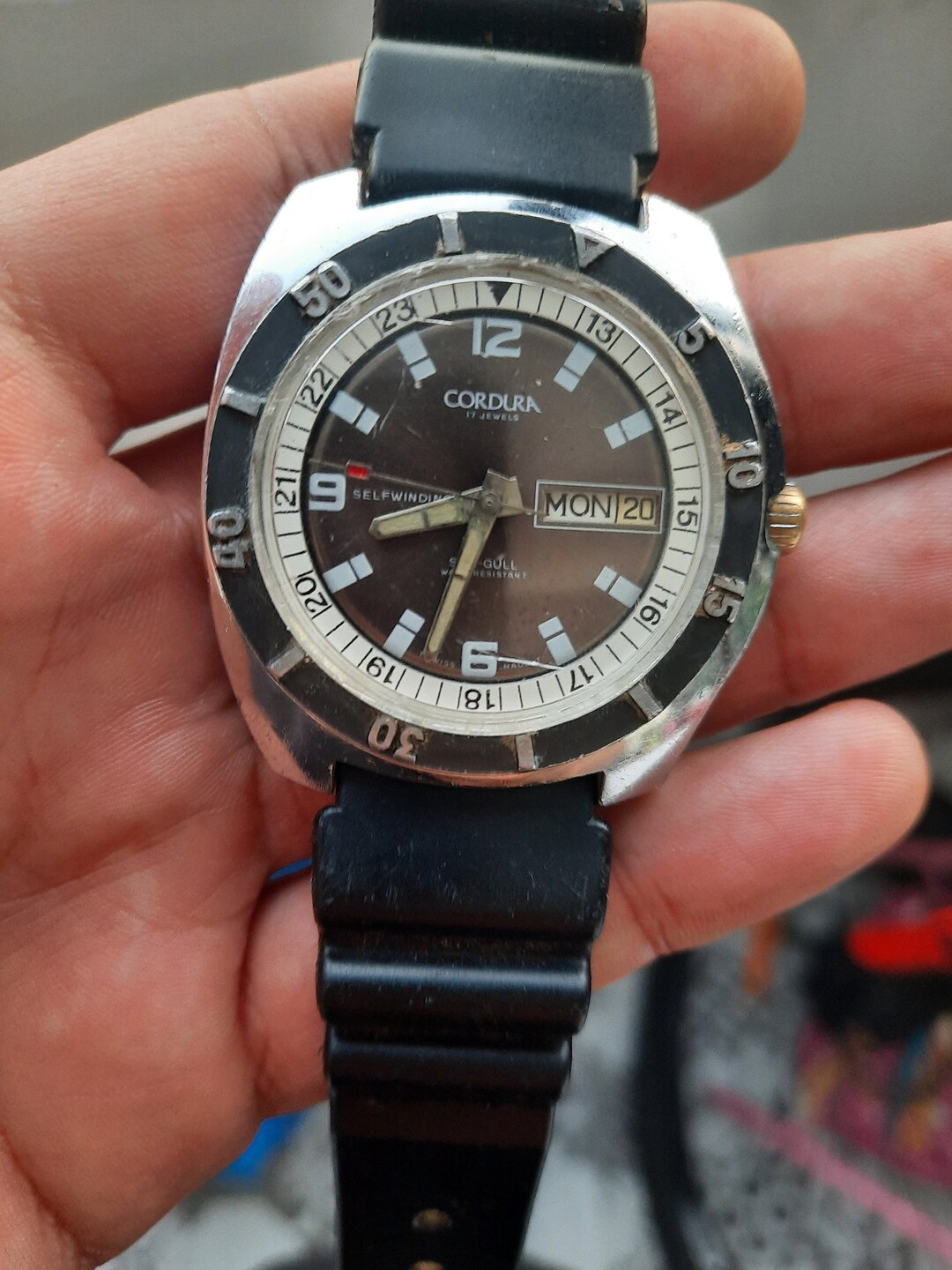 Cordura sea gull watch sale