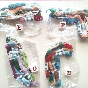 May include: Assortment of embroidery floss in various colours, packaged in clear plastic bags. Each bag is labelled with a letter, E, F, G, and H. The floss is arranged in bundles and includes shades of blue, green, red, pink, and brown.