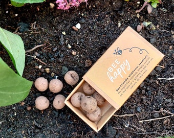 Bee Happy Wildflower Seed Balls // Mini Matchbox // Eco Friendly Seed Bombs