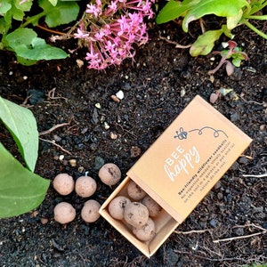 Bee Happy Wildflower Seed Balls // Mini Matchbox // Eco Friendly Seed Bombs