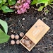 Seed Bombs