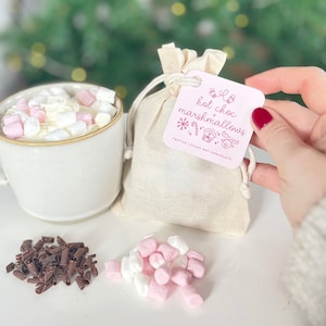 Christmas Hot Chocolate & Marshmallows | Gift Set | Stocking Filler | Secret Santa