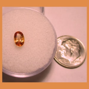 LADY BUG SAPPHIRE – Kenya – 6 x 4 Millimeter Facetted Oval – Natural Material - Vintage 1990s - Made Between India & Maine