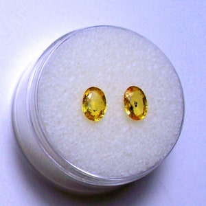 LADY BUG SAPPHIRE – Kenya – Pair of 6.3 x 4.4 Millimeter Facetted Ovals – Blue Lady Bug Spots In Lemon Yellow Sapphire - Made in Maine