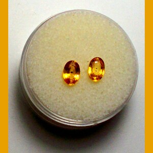 LADY BUG SAPPHIRE – Kenya – Pair of 6 x 4 Millimeter Facetted Ovals – Blue Lady Bug Spots In Golden Yellow Sapphire - Made in Maine